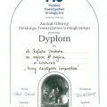 Powiększ obraz: certificate 37