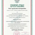 Powiększ obraz: certificate 2