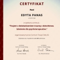 Powiększ obraz: certificate 1