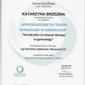 Powiększ obraz: certificate 8