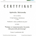 Powiększ obraz: certificate 9