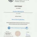 Powiększ obraz: certificate 5