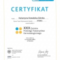 Powiększ obraz: certificate 20