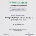 Powiększ obraz: certificate 6