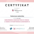 Powiększ obraz: certificate 2