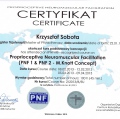 Powiększ obraz: certificate 9