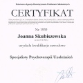 Powiększ obraz: certificate 1