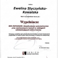 Powiększ obraz: certificate 10