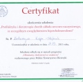 Powiększ obraz: certificate 2