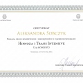 Powiększ obraz: certificate 9