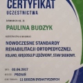 Powiększ obraz: certificate 11