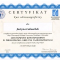 Powiększ obraz: certificate 14