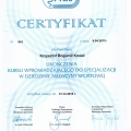 Powiększ obraz: certificate 8