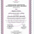 Powiększ obraz: certificate 4