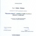 Powiększ obraz: certificate 7