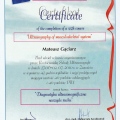 Powiększ obraz: certificate 7
