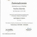 Powiększ obraz: certificate 24