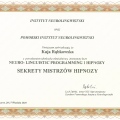 Powiększ obraz: certificate 10