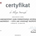 Powiększ obraz: certificate 1