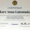 Powiększ obraz: certificate 7