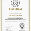 Powiększ obraz: certificate 1