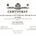 Powiększ obraz: certificate 2