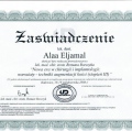 Powiększ obraz: certificate 15