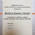 Powiększ obraz: certificate 8