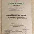 Powiększ obraz: certificate 12