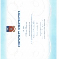 Powiększ obraz: certificate 32