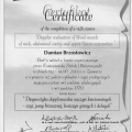 Powiększ obraz: certificate 7