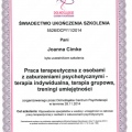 Powiększ obraz: certificate 2