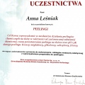 Powiększ obraz: certificate 14