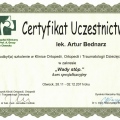 Powiększ obraz: certificate 25