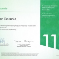 Powiększ obraz: certificate 89