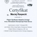 Powiększ obraz: certificate 11