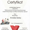 Powiększ obraz: certificate 9
