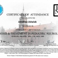 Powiększ obraz: certificate 11