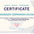 Powiększ obraz: certificate 7