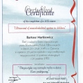 Powiększ obraz: certificate 6