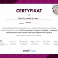 Powiększ obraz: certificate 4