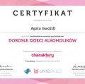 Powiększ obraz: certificate 5
