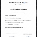 Powiększ obraz: certificate 8