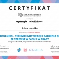 Powiększ obraz: certificate 10