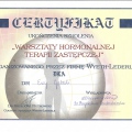 Powiększ obraz: certificate 32