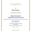 Powiększ obraz: certificate 19