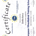 Powiększ obraz: certificate 2