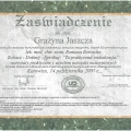 Powiększ obraz: certificate 8