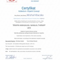 Powiększ obraz: certificate 19
