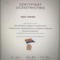 Powiększ obraz: certificate 1